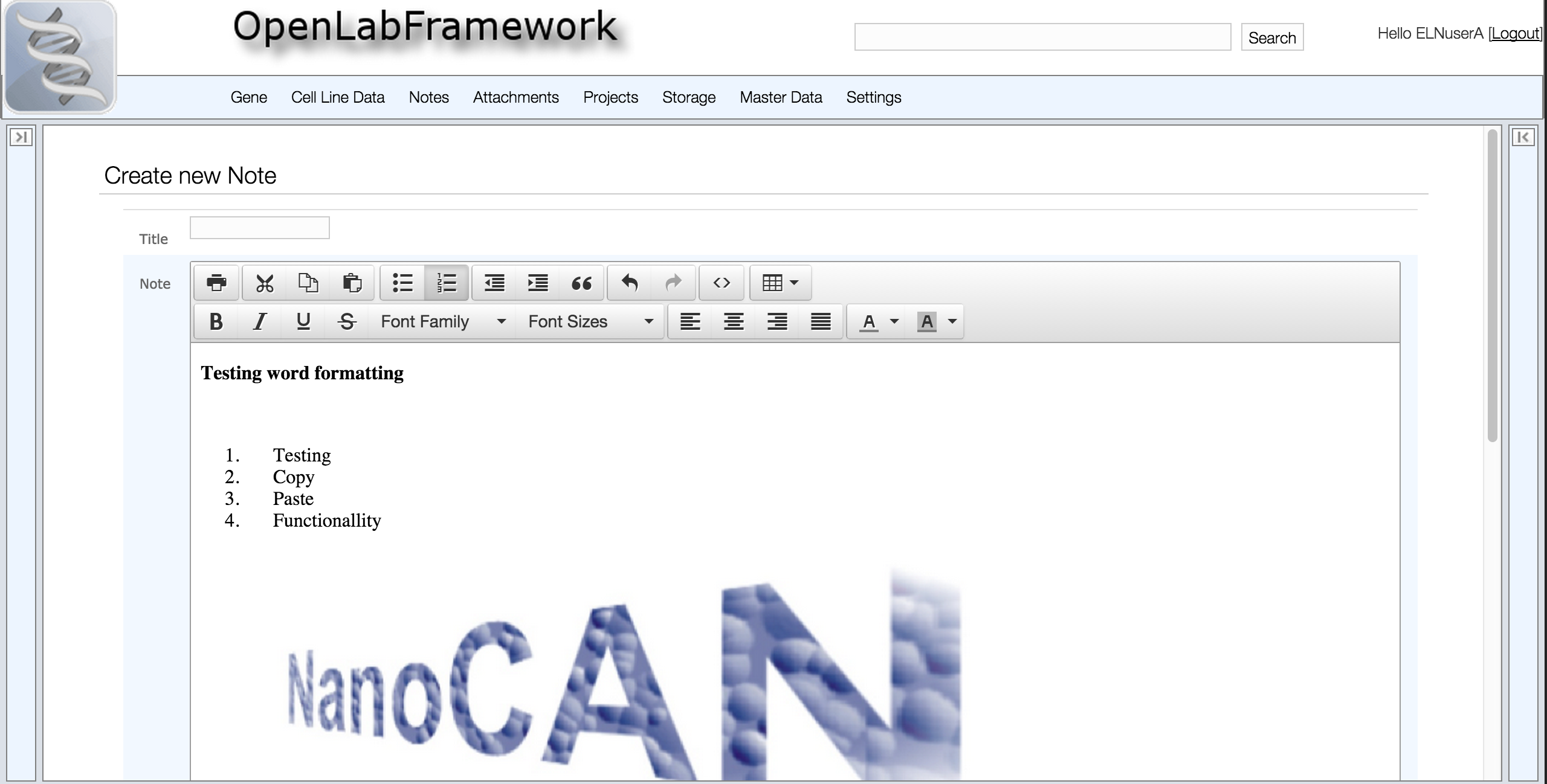 Paste image from Word